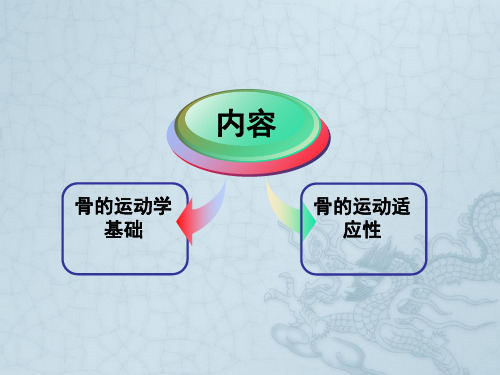 第二章第一节骨运动学(骨运动适应性)