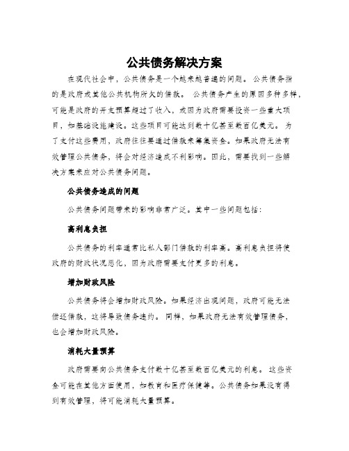 公共债务解决方案