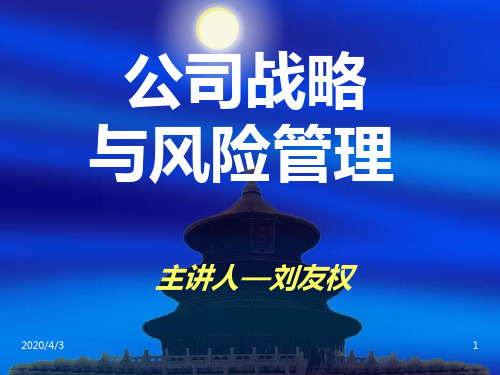 《公司战略与风险管理》课件88241