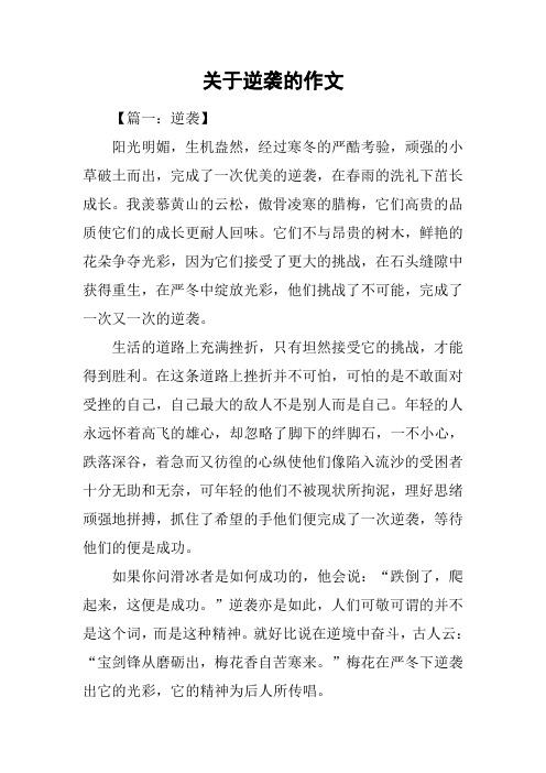 关于逆袭的作文