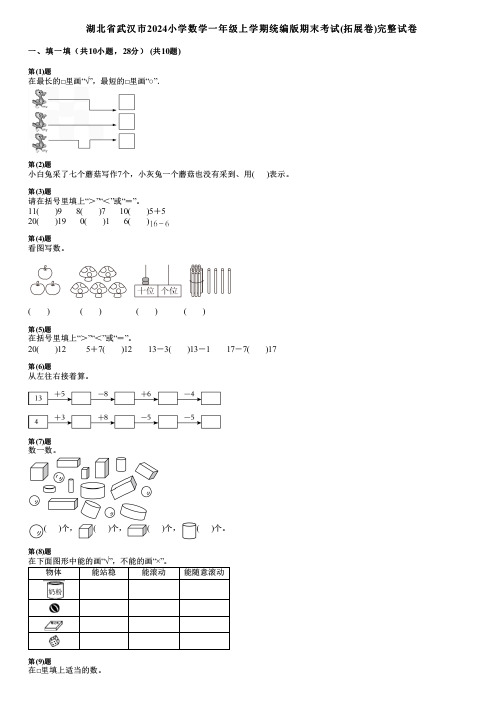 湖北省武汉市2024小学数学一年级上学期统编版期末考试(拓展卷)完整试卷