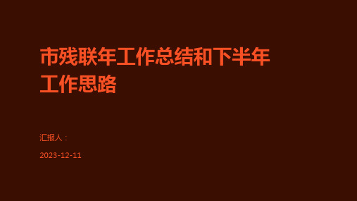 市残联年工作总结和下半年工作思路