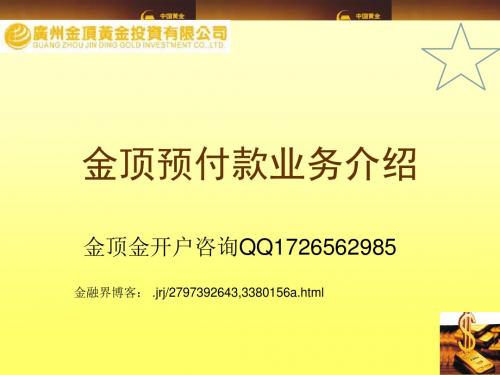 金顶预付款业务介绍肖详细版-文档资料