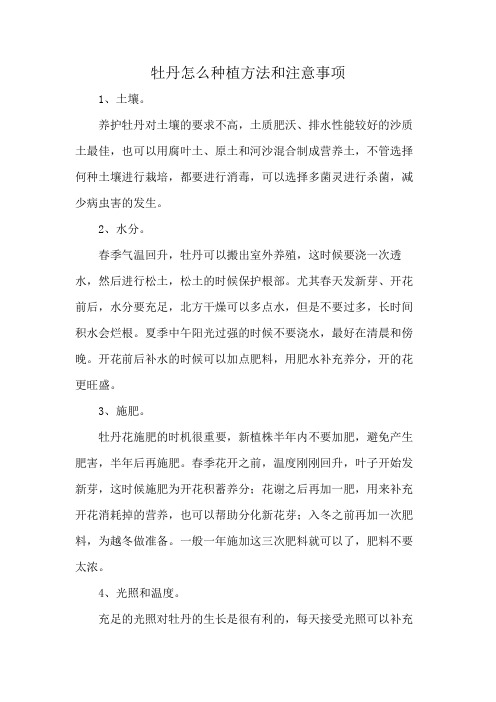 牡丹怎么种植方法和注意事项