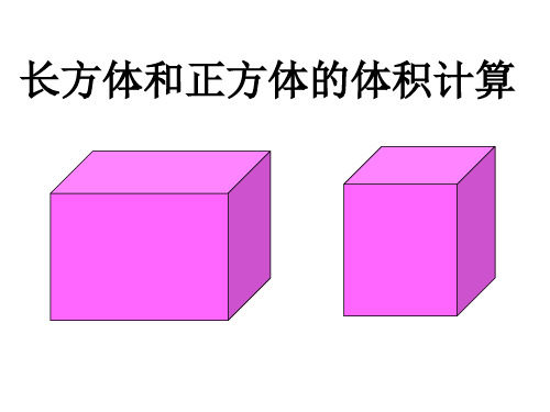 长方体和正方体的体积 (PPT课件)