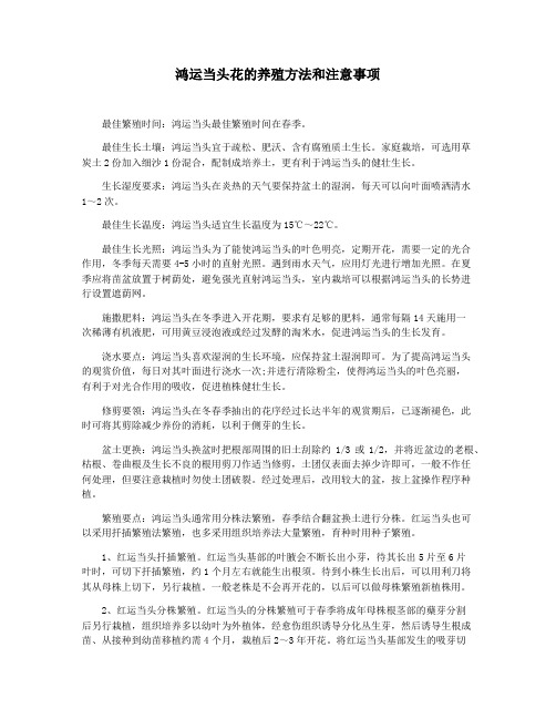 鸿运当头花的养殖方法和注意事项