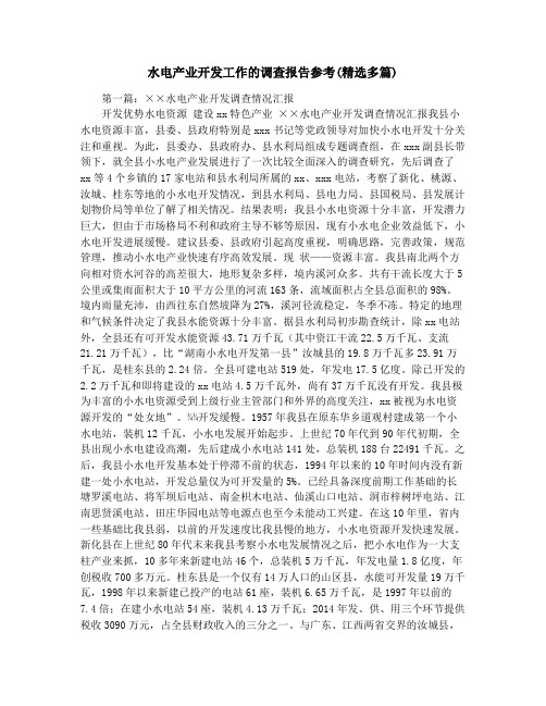 水电产业开发工作的调查报告参考(精选多篇)