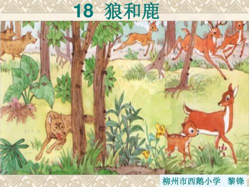 狼和鹿课件
