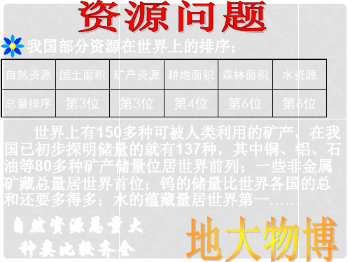 九年级政治全册 第二单元 第二节 第二框 资源小国课件