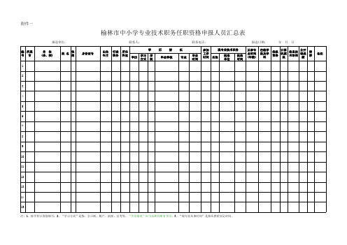 中小学专业技术职务任职资格申报人员汇总表