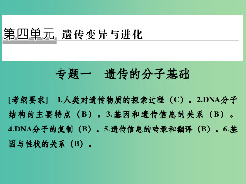 高考生物二轮复习 第四单元 遗传变异与进化 专题一 遗传的分子基础