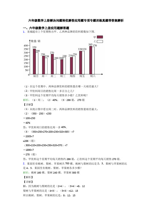 六年级数学上册解决问题培优解答应用题专项专题训练真题带答案解析