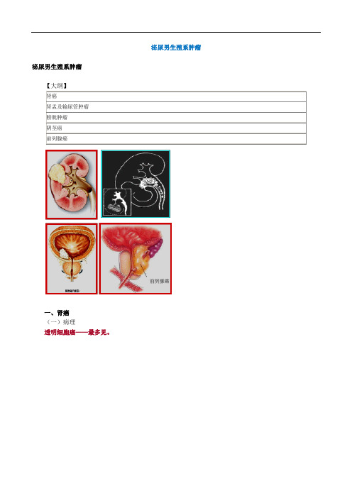 医学课件---泌尿男生殖系肿瘤