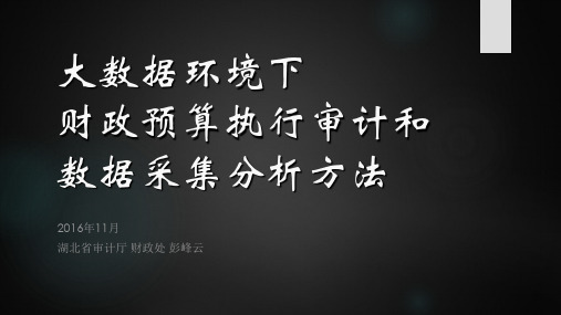 大数据环境下的财政预算执行审计和数据采集分析方法010黑