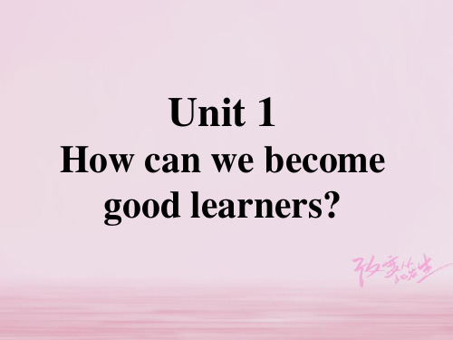 九年级英语全册 重点知识口头表达专练 Unit 1 How can we become good learners课件 (新版)人教新目标版