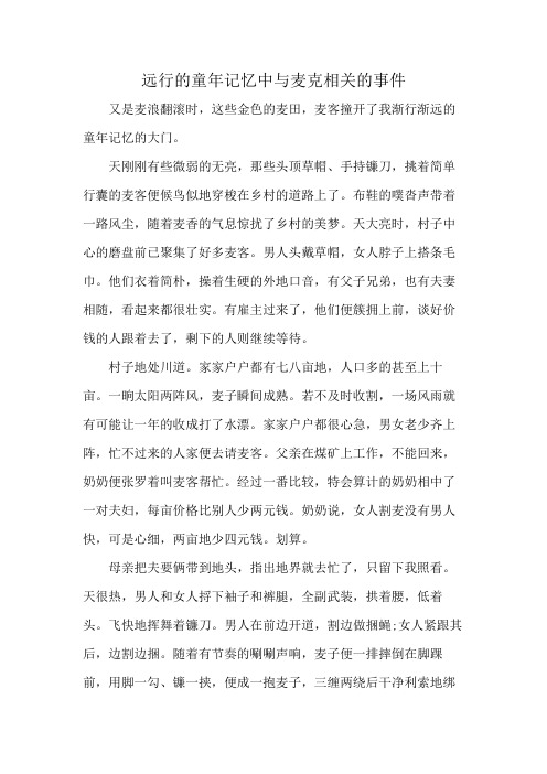 远行的童年记忆中与麦克相关的事件