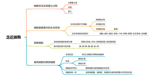 高一生物学人教版(2019)必修一思维导图