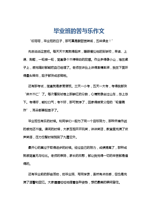 毕业班的苦与乐作文