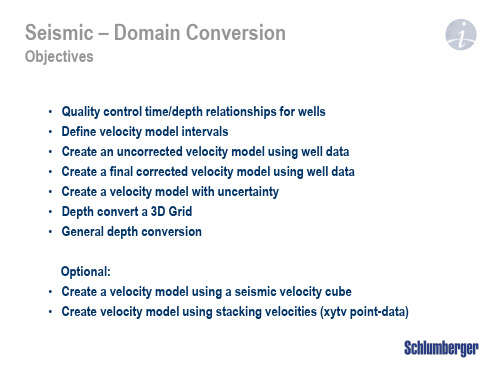 Petrel官方地震解释培训M7_Depth_Conversion