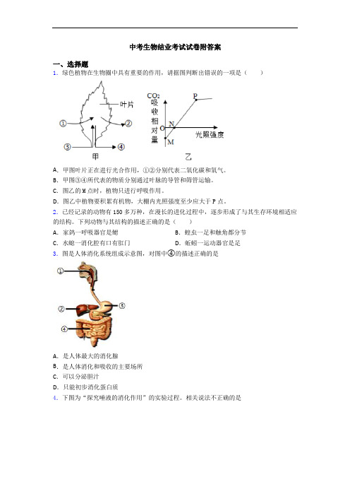 中考生物结业考试试卷附答案