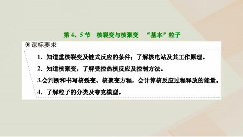 新教材高中物理第五章原子核第45节核裂变与核聚变“基本”粒子课件新人教版选择性必修第三册