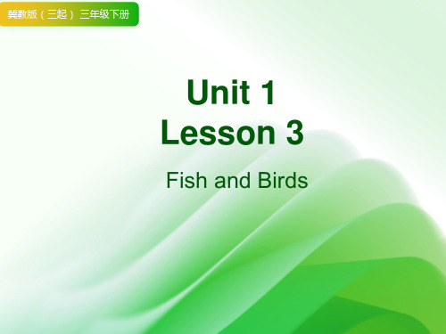 Unit 1 Lesson3 Fish and Birds (课件)-冀教版英语三年级下册