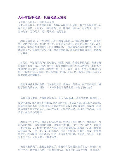 人生何处不相逢只怕相逢太匆匆