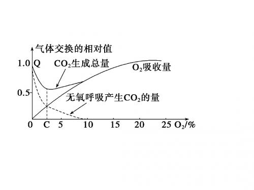 呼吸作用光合作用粗略复习