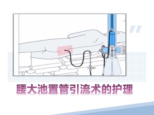 腰大池置管引流术的护理