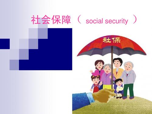 社会保障( social security )