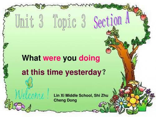 仁爱英语 八(上) unit3 topic3 Section A课件