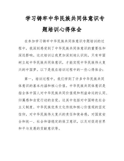 学习铸牢中华民族共同体意识专题培训心得体会