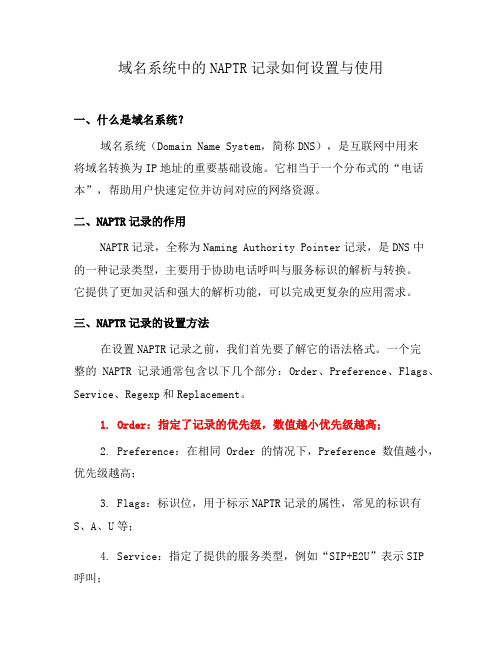 域名系统中的NAPTR记录如何设置与使用(十)