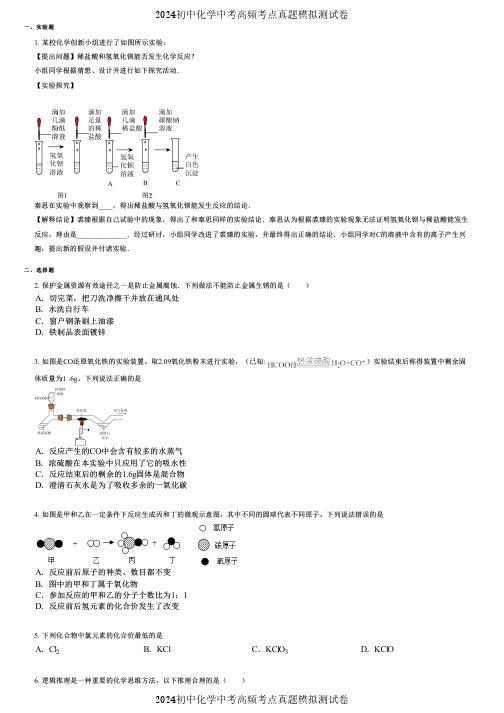 2024初中化学中考高频考点真题模拟测试卷 (230)