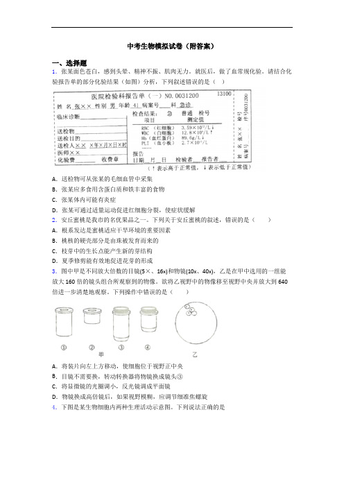 中考生物模拟试卷(附答案)