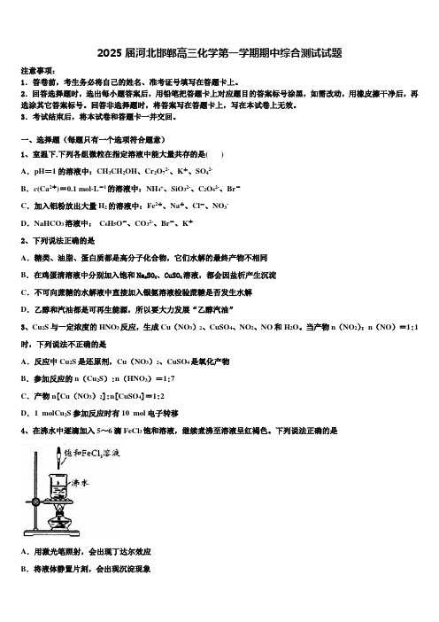 2025届河北邯郸高三化学第一学期期中综合测试试题含解析