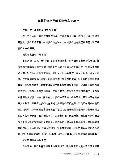 在我们这个年龄初中作文800字