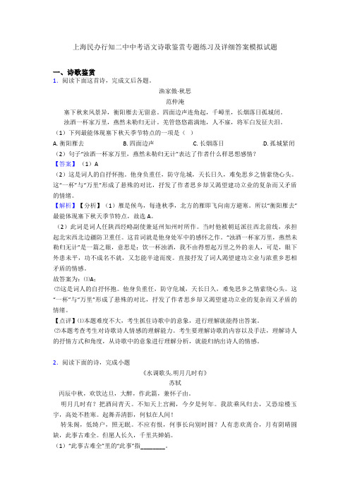 上海民办行知二中中考语文诗歌鉴赏专题练习及详细答案模拟试题