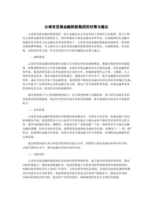 云南省发展金融控股集团的对策与建议