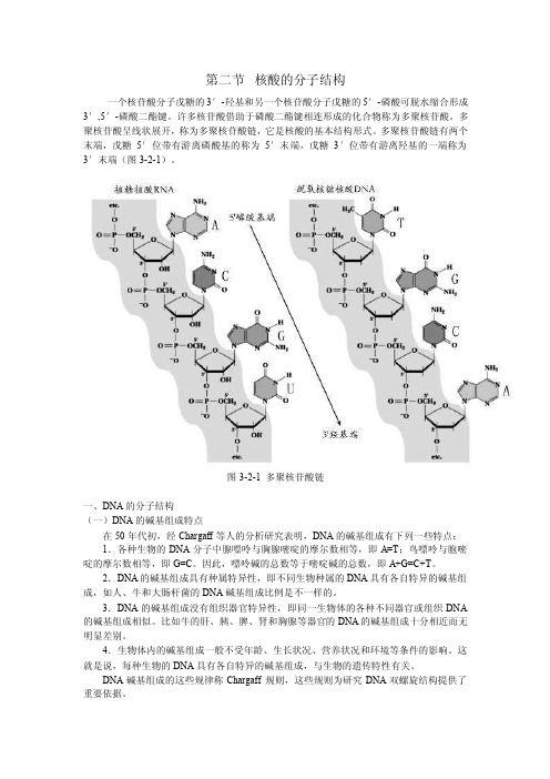 核酸的分子结构