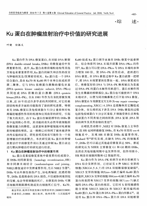 Ku蛋白在肿瘤放射治疗中价值的研究进展