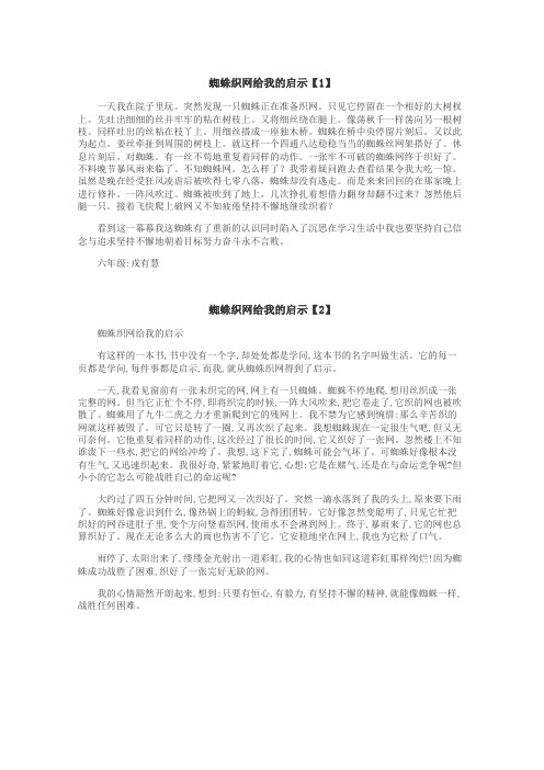 蜘蛛织网给我的启示作文
