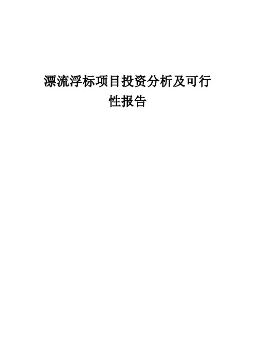 2024年漂流浮标项目投资分析及可行性报告