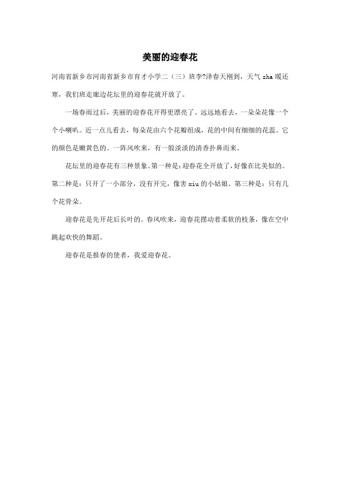 美丽的迎春花_小学二年级作文300字