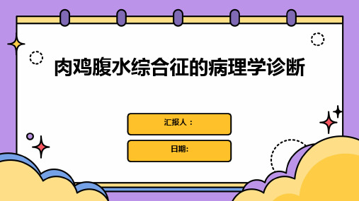 肉鸡腹水综合征的病理学诊断