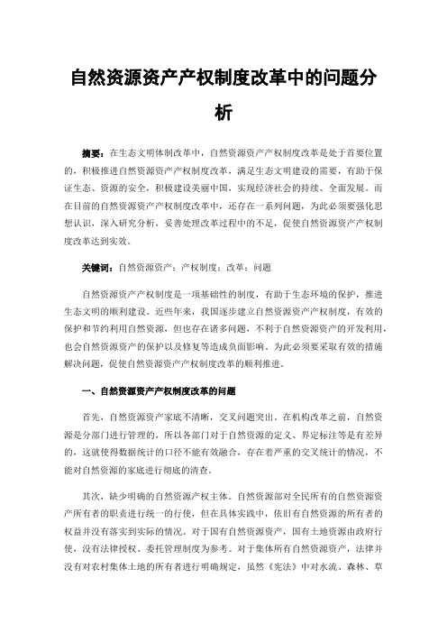 自然资源资产产权制度改革中的问题分析