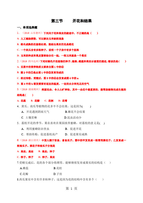 生物七年级上人教版3.2.3开花和结果同步练习