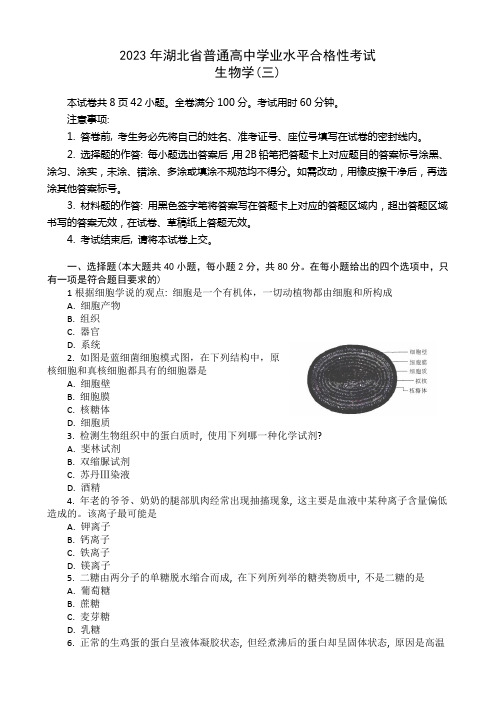 湖北省普通高中学业水平合格性考试模拟生物试题(三)