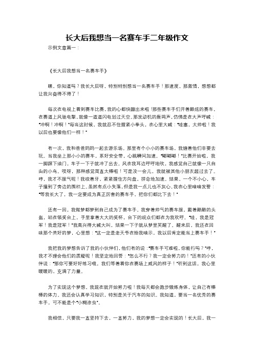 长大后我想当一名赛车手二年级作文