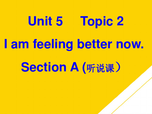 仁爱版八下  Unit  Topic  Section Appt文档